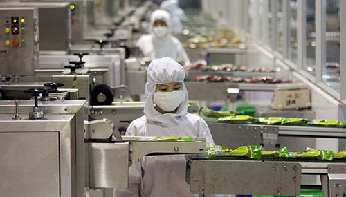 上海醫(yī)用面膜代加工廠